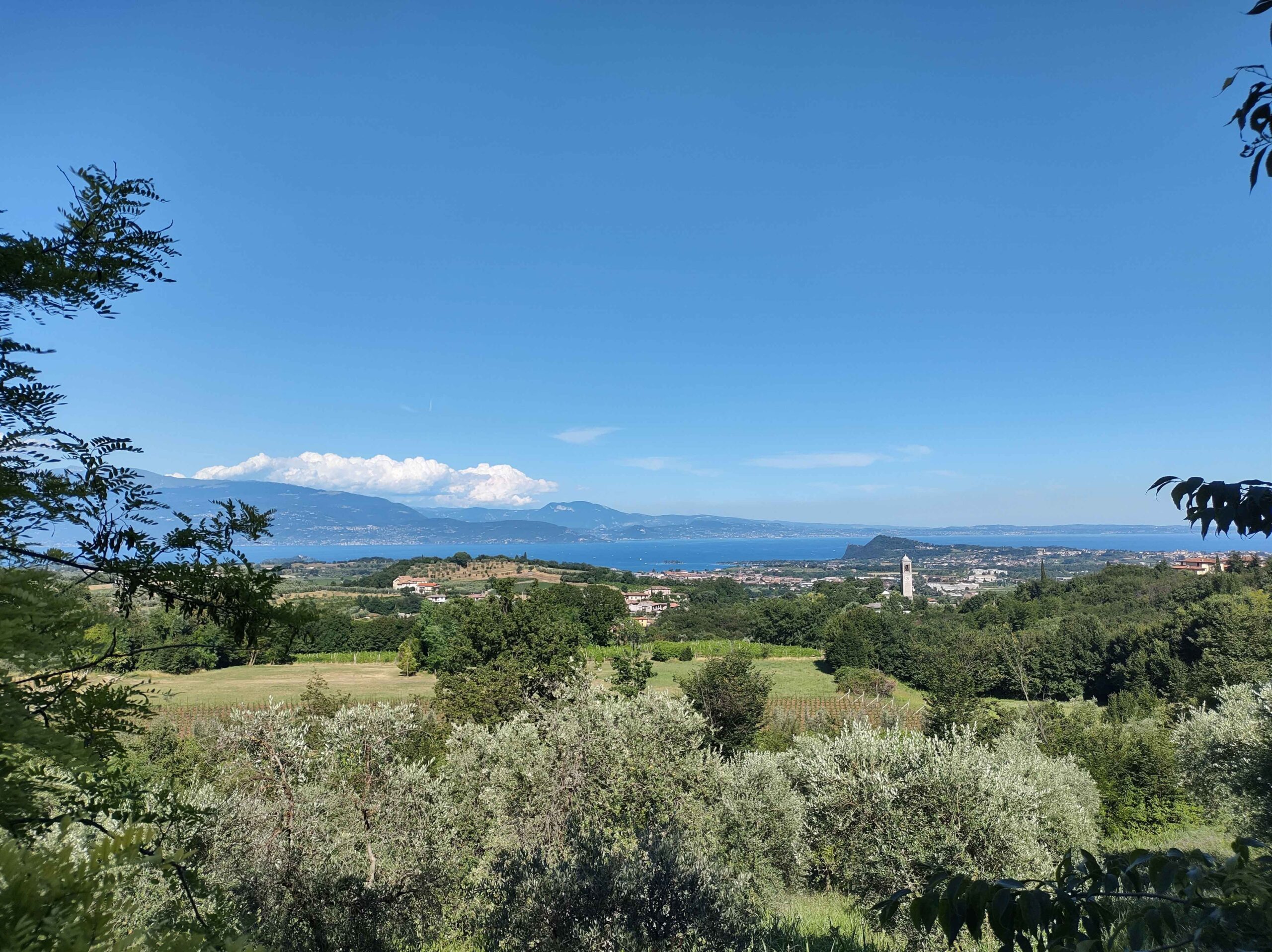 puegnago